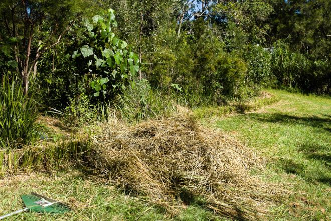 Vetiver mulch