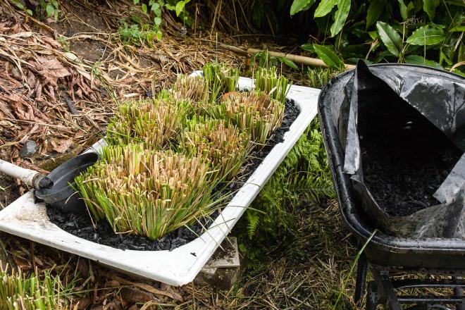 Greywater treatment