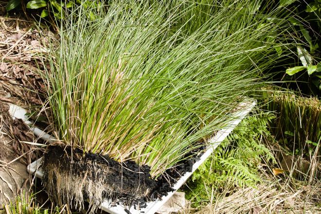 Greywater treatment