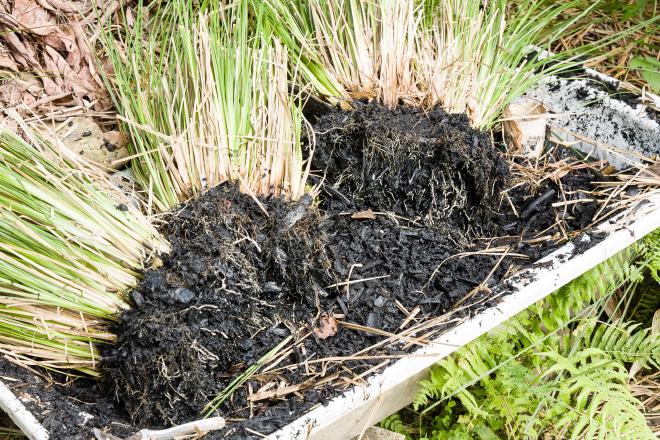 Greywater treatment