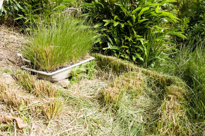 Greywater treatment