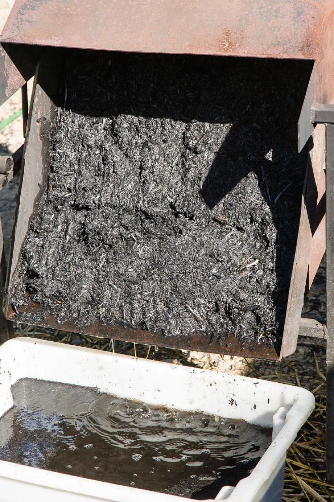 Making Vetiver biochar