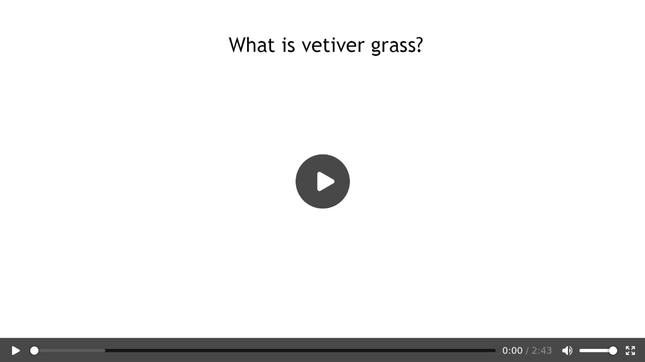 What is Vetiver Grass video link